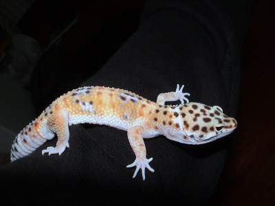 un piccolino nato a me